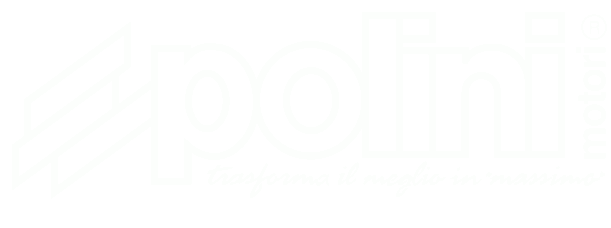 Polini motori